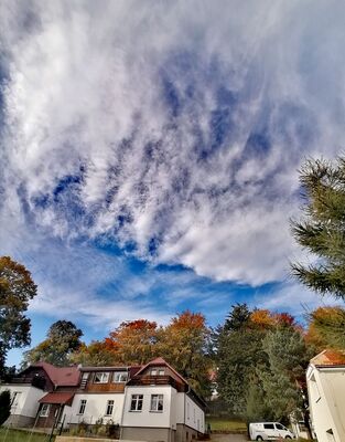 IMG_20211020_103956_compress55__e5YMA9Qe.jpg
